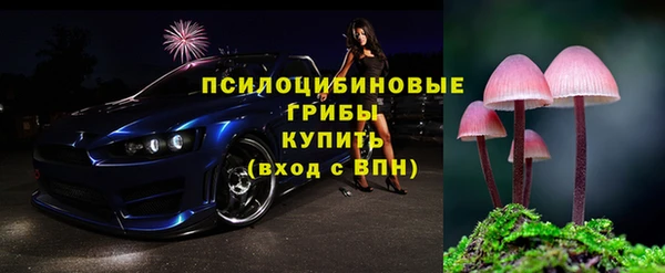 амф Зеленокумск