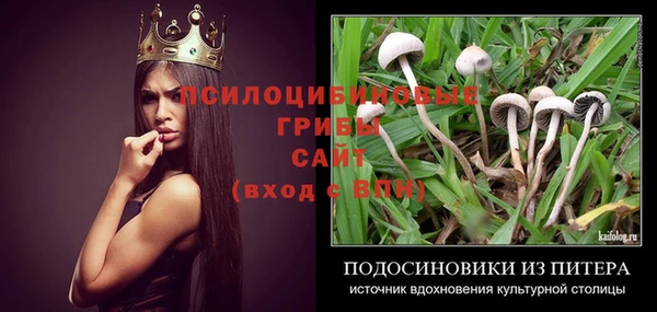 Альфа ПВП Зеленодольск