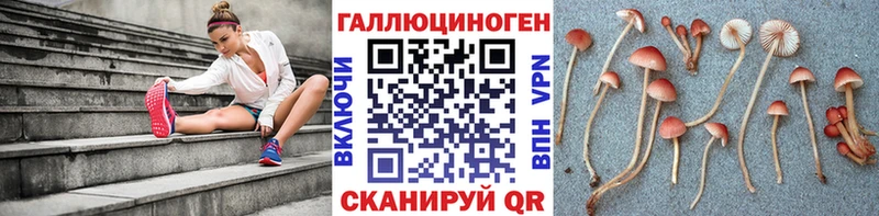 Купить закладки  Петров Вал  Галлюциногенные грибы MAGIC MUSHROOMS 