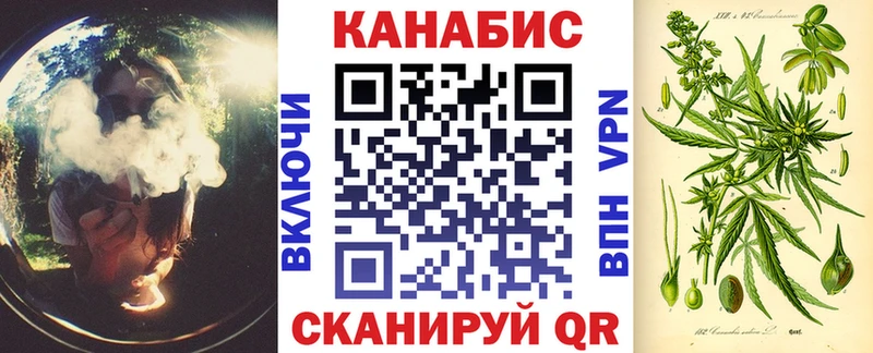 Купить закладки  Петров Вал  Каннабис сатива 